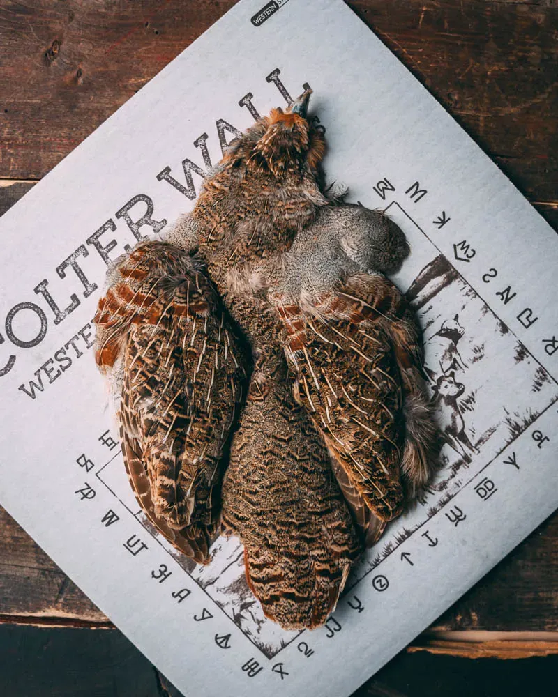 BA_tom_gagnon_full_hungarian_p